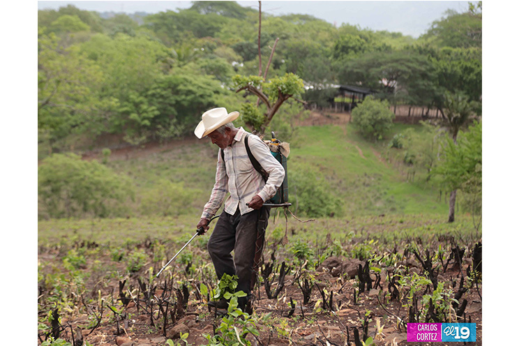MAG asesora a productores de Chontales en el fortalecimiento de sistemas de riego