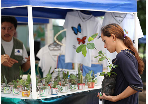 Ambientalistas lanzan alarido por Bosawás