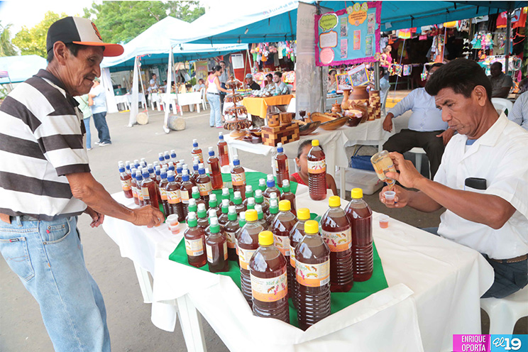 Mefcca y sector apícola celebran ‘Feria Nacional de la Miel de Abeja’
