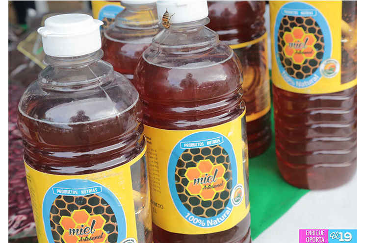 Mefcca y sector apícola celebran ‘Feria Nacional de la Miel de Abeja’