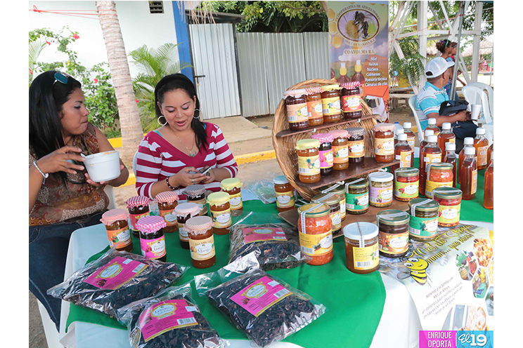 Mefcca y sector apícola celebran ‘Feria Nacional de la Miel de Abeja’
