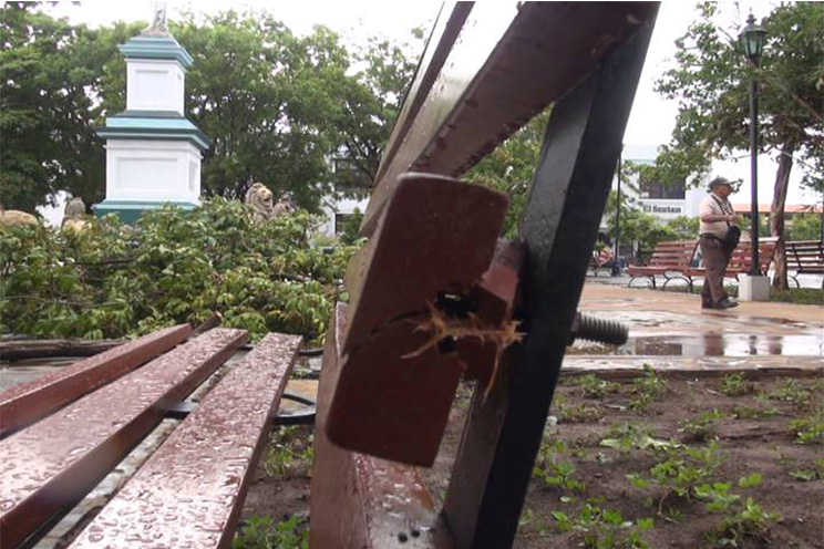 Cae árbol por tolvaneras en parque central de León