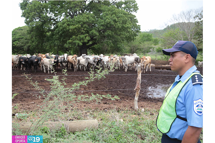 Policía Nacional trabaja Plan de Seguridad en el Campo con productores de Rivas