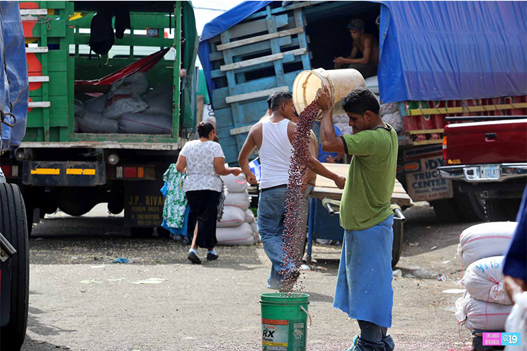 Mercados abastecidos con productos frescos y de alta calidad