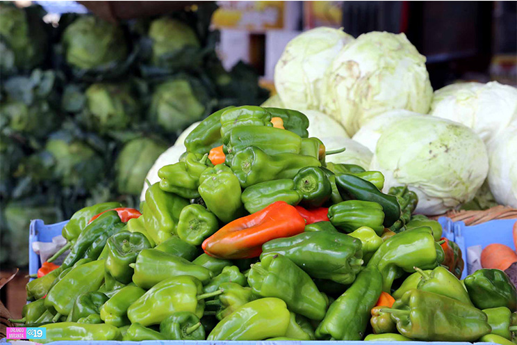 Mercados abastecidos con productos frescos y de alta calidad