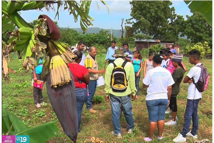 Agricultores de Mateare satisfechos con programa educativo de las Escuelas de Campo