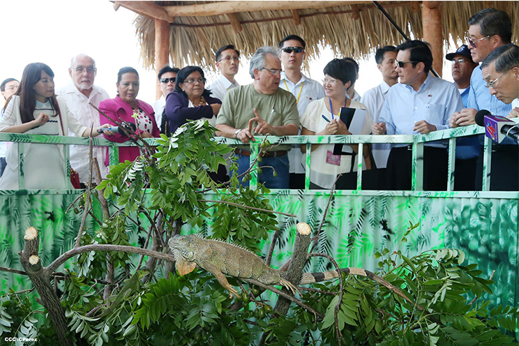 Presidente Ma Ying–jeou recorre el Parque Nacional de Ferias