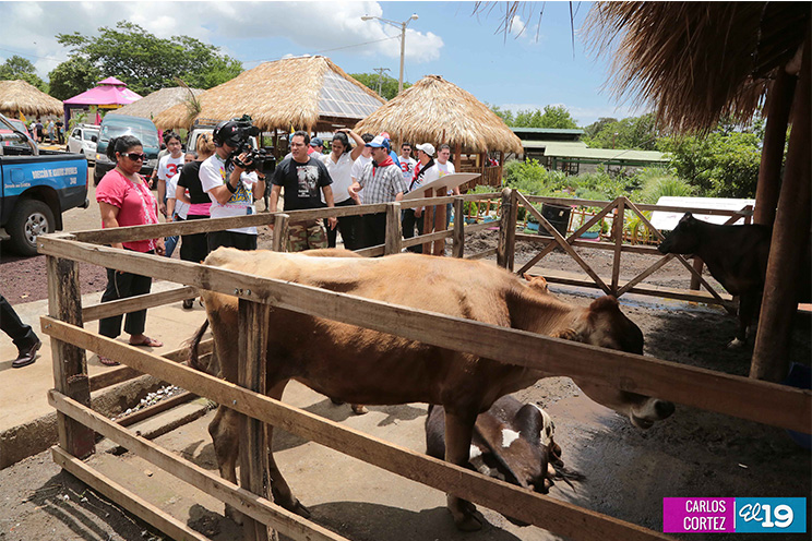 Héroes cubanos visitan Parque Nacional de Ferias