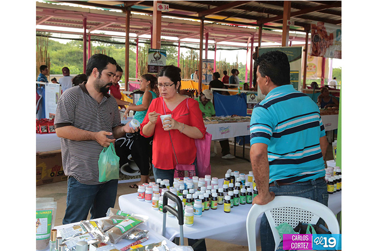 Inauguran feria de la economía familiar en honor a Santo Domingo de Guzmán
