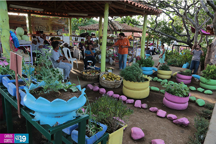 Inauguran feria de la economía familiar en honor a Santo Domingo de Guzmán