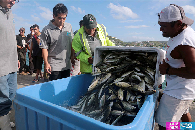 INPESCA, con el apoyo del JICA, promueve nuevas tecnologías de pesca