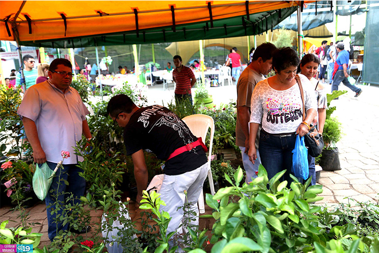 Familias continúan disfrutando de Feria dedicada a Santo Domingo de Guzmán