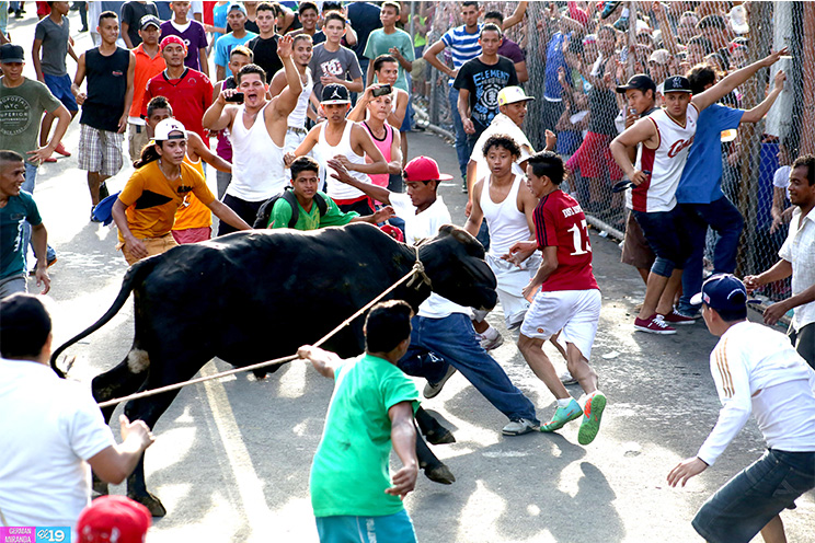 Los managuas despiden a Santo Domingo con corrida de toros