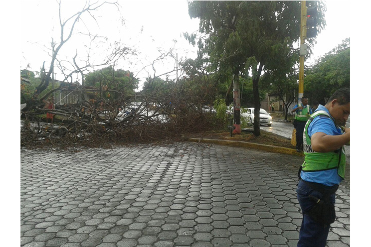 Nubes de polvo, vientos y lluvia afectan zonas de Managua