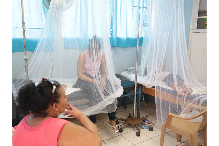 Intensifican jornadas de lucha contra dengue y chikungunya