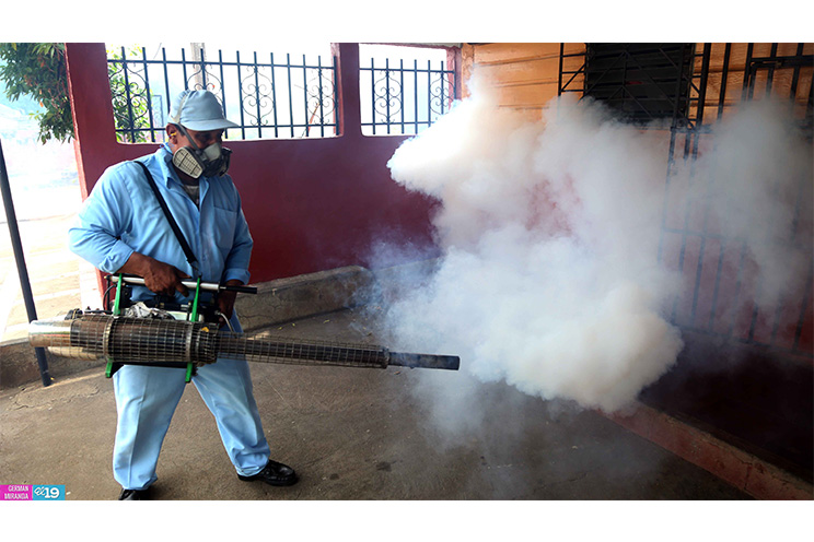 Intensa lucha contra el dengue y chikungunya en barrios de Managua