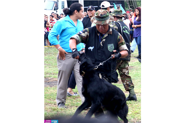 Exposición estática militar es un saludo a la historia y heroísmo del pueblo nicaragüense