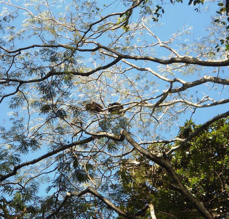 Riqueza natural nicaragüense, orgullo del mundo