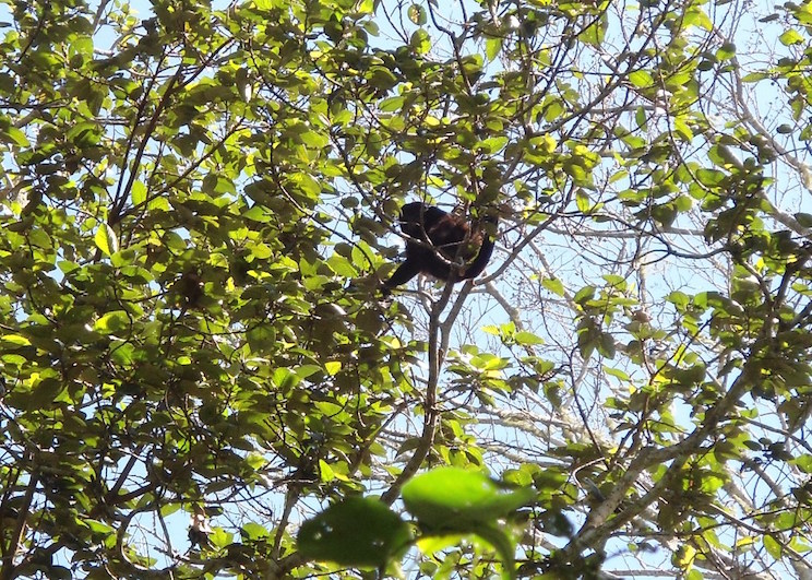 Riqueza natural nicaragüense, orgullo del mundo
