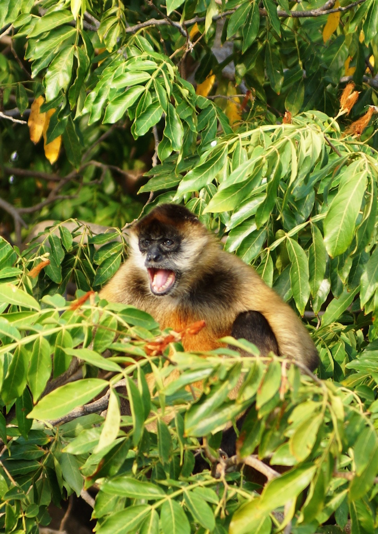 Riqueza natural nicaragüense, orgullo del mundo