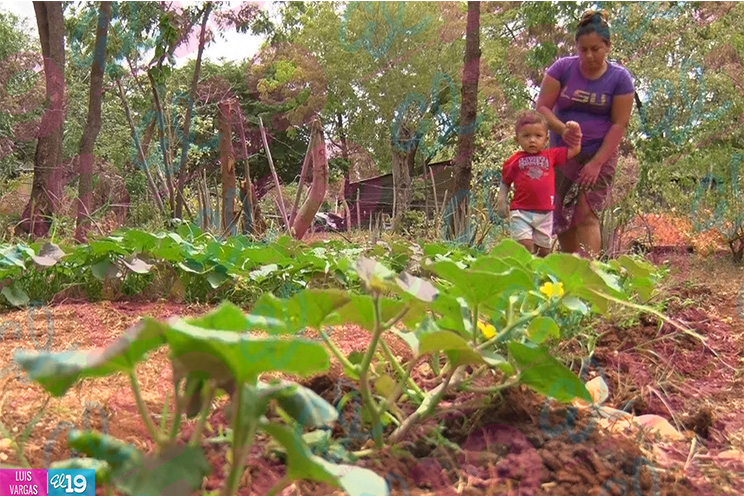 Amor y esmero en censo nutricional orientado por el Gobierno