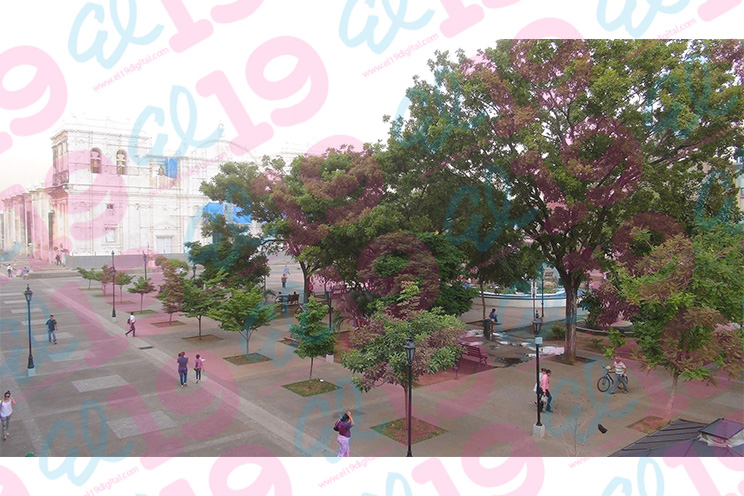 Tolvanera afecta ciudad de León