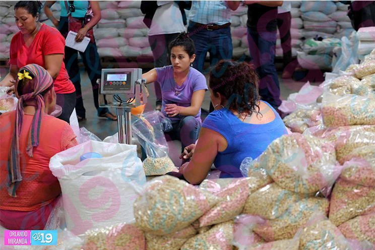 Gobierno envía primer cargamento de alimentos a municipios del Corredor Seco