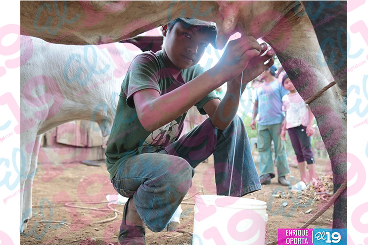 Secundaria Rural a Distancia garantiza el futuro de los jóvenes nicaragüenses