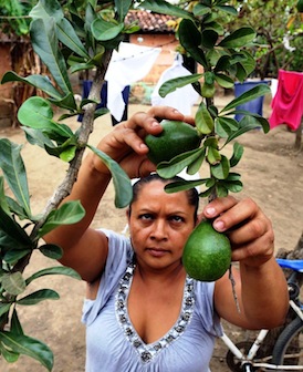 Mujeres de Rivas crean condiciones de prosperidad asumiendo el trabajo compartido