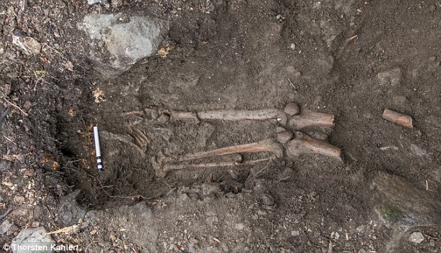 Caída de árbol revela esqueleto medieval