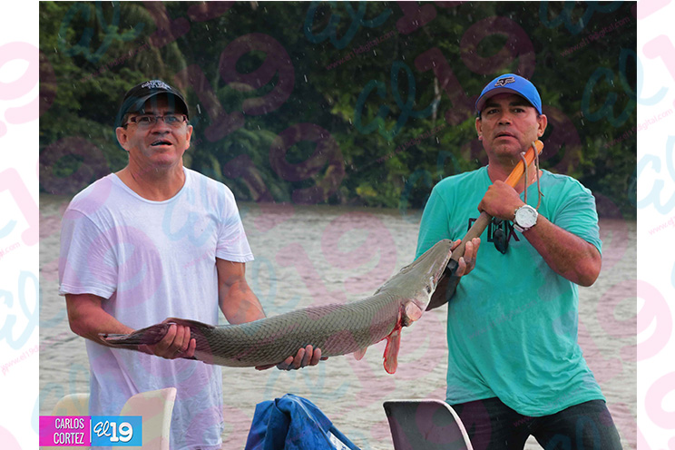 Reclaman el codiciado sábalo real en las aguas del San Juan