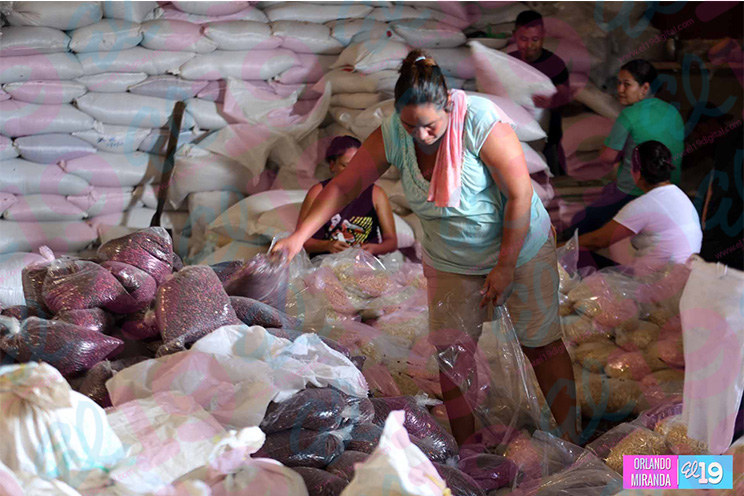 Gobierno Sandinista hace efectivo tercer envío de alimentos a familias del Corredor Seco