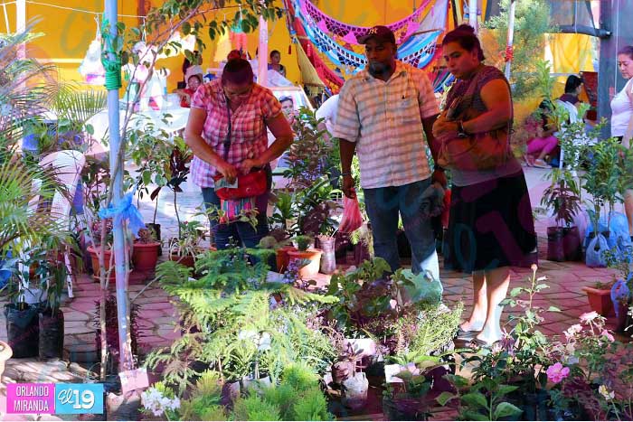Feria de la Economía Familiar: diversión, economía y salud en un solo lugar