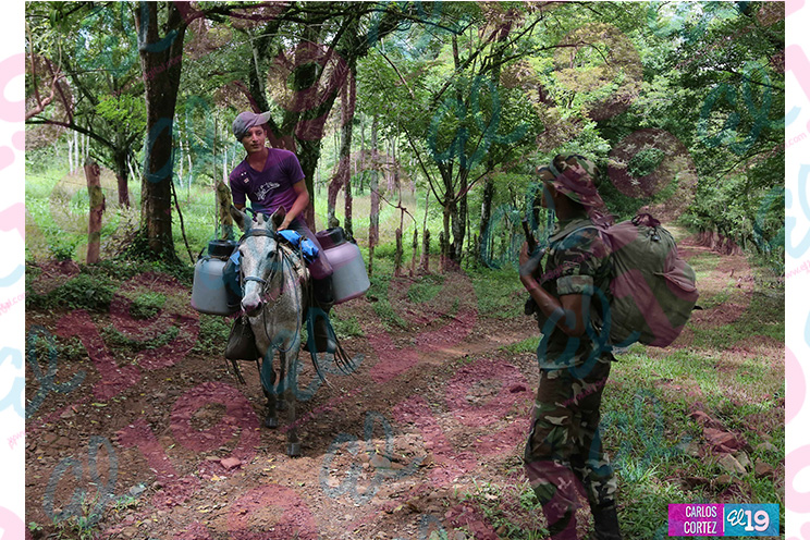 Productores satisfechos con presencia policial en zonas productivas de Boaco
