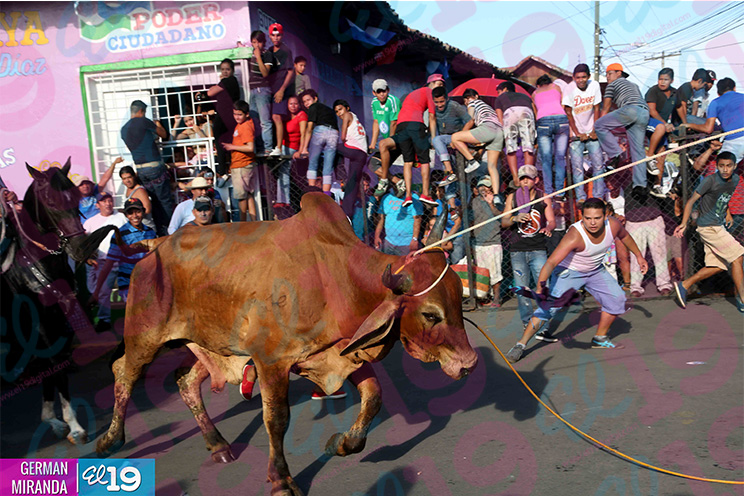 Miles de masayas sortean bravos toros por las calles de su ciudad
