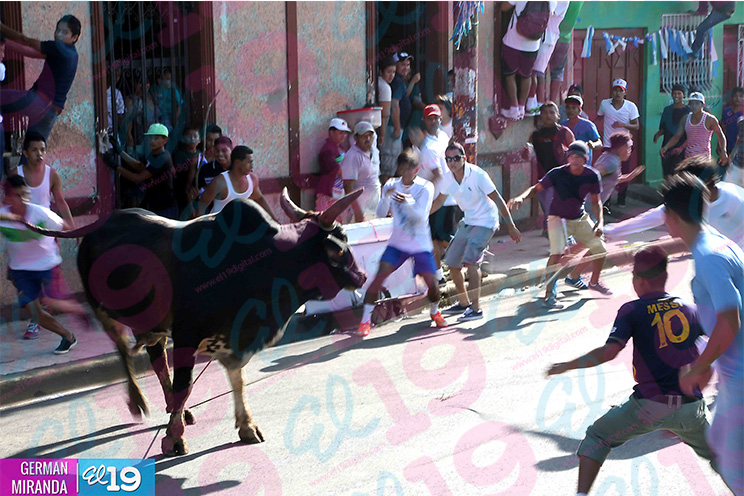 Miles de masayas sortean bravos toros por las calles de su ciudad