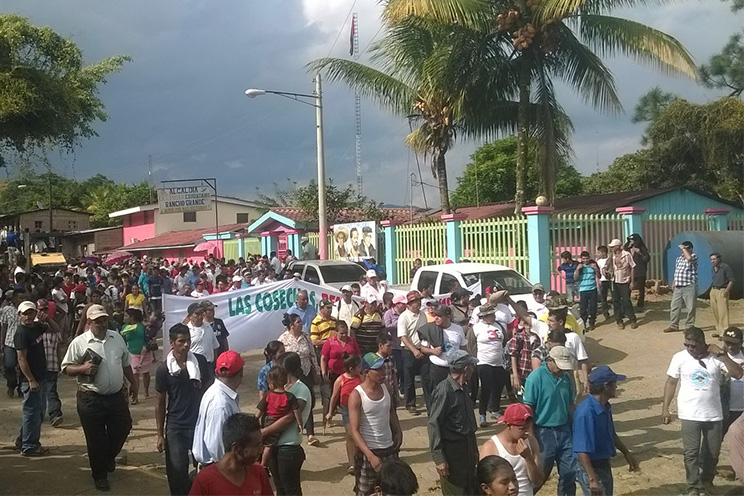 Realizan caminata de Acción de Gracias en Rancho Grande celebrando a San Francisco de Asís (VIDEO)