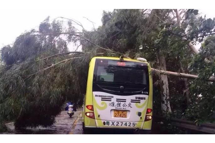 Alerta Roja en China por paso de tifón Mujigae; se reportan 4 muertos y decenas de miles evacuados (FOTOS, VIDEOS)