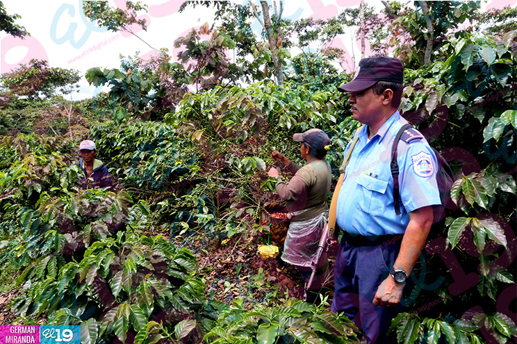 Policía Nacional garantiza seguridad rural de cara a cosecha cafetalera