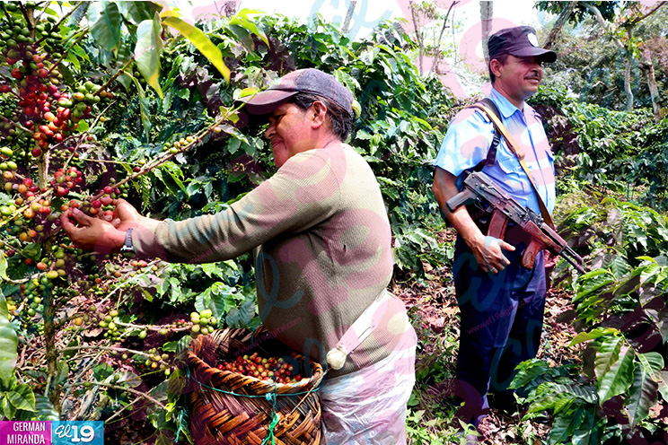 Policía Nacional garantiza seguridad rural de cara a cosecha cafetalera