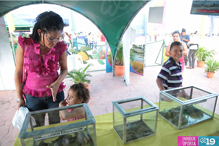 Población disfruta exposición de instituciones de gobierno en el Paseo del Estudiante