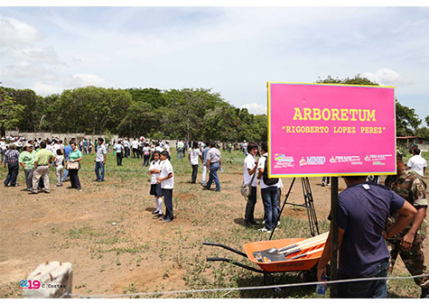 Gobierno Sandinista emprende gran Cruzada Nacional de Reforestación