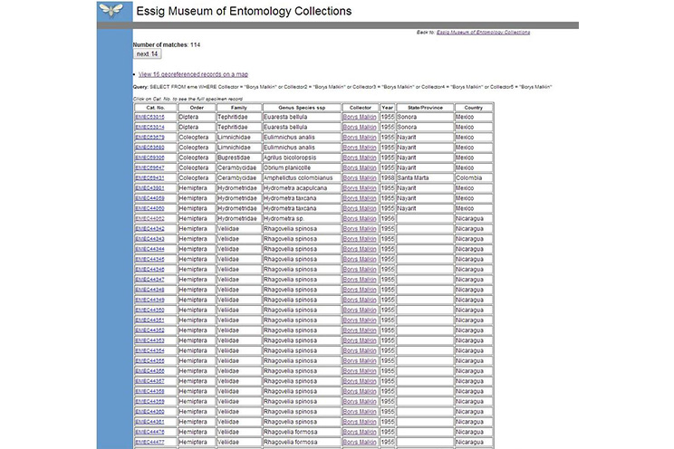 Insecto descubierto en Nicaragua da la vuelta al mundo científico