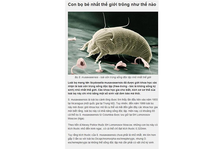 Insecto descubierto en Nicaragua da la vuelta al mundo científico