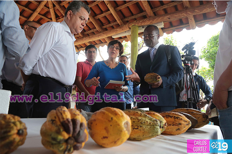 Gabinete de Gobierno sostiene encuentro con miembros de la Organización Internacional del Cacao