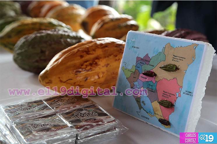 Gabinete de Gobierno sostiene encuentro con miembros de la Organización Internacional del Cacao