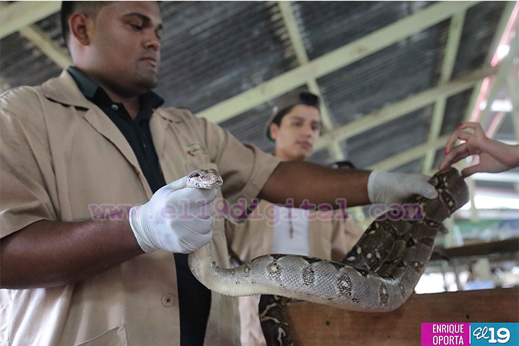 Crece exportación de especies exóticas