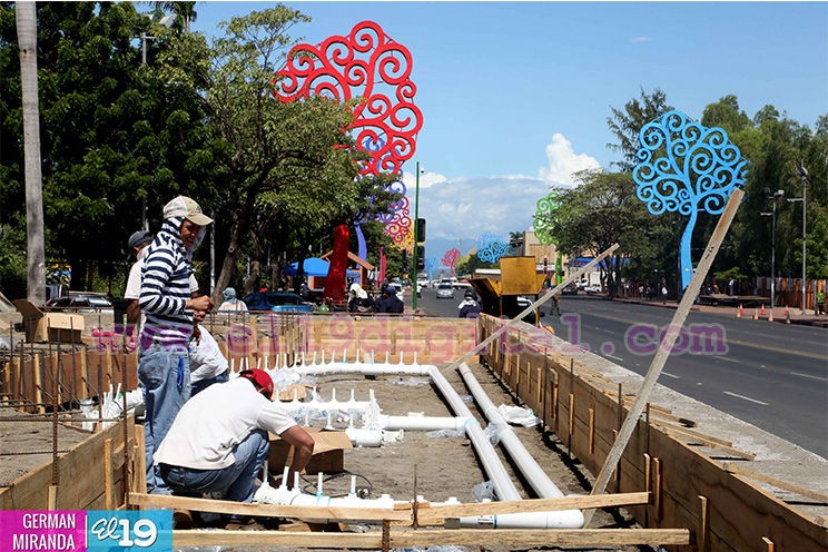 Inicia construcción de altares a la Purísima Concepción de María