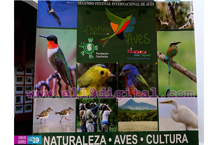 Granada sede del II Festival Internacional de Aves
