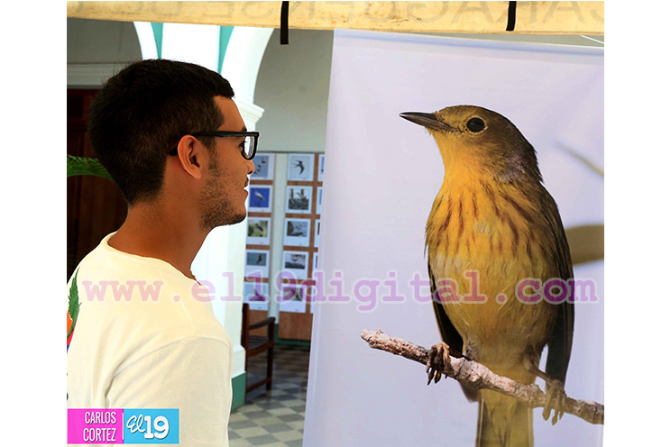 Granada sede del II Festival Internacional de Aves